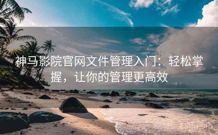 神马影院官网文件管理入门：轻松掌握，让你的管理更高效