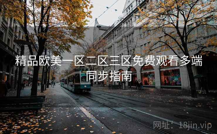 精品欧美一区二区三区免费观看多端同步指南
