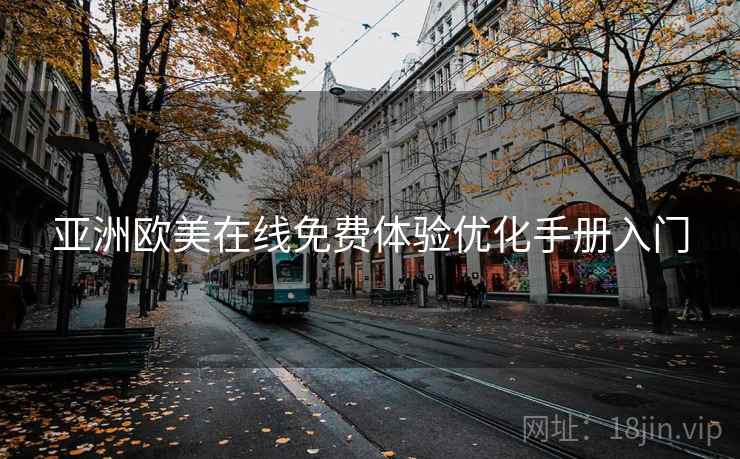 亚洲欧美在线免费体验优化手册入门