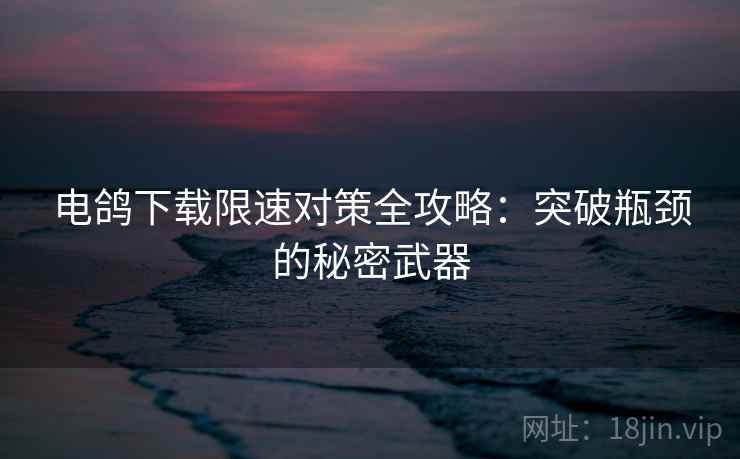 电鸽下载限速对策全攻略：突破瓶颈的秘密武器