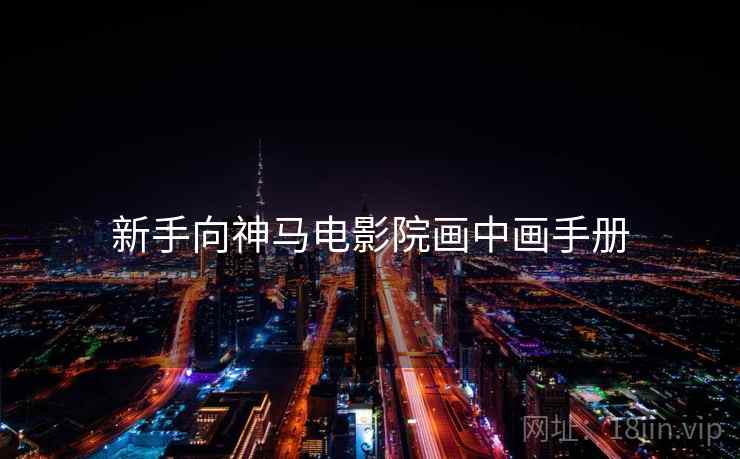 新手向神马电影院画中画手册
