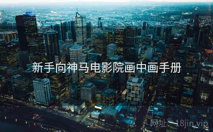 新手向神马电影院画中画手册