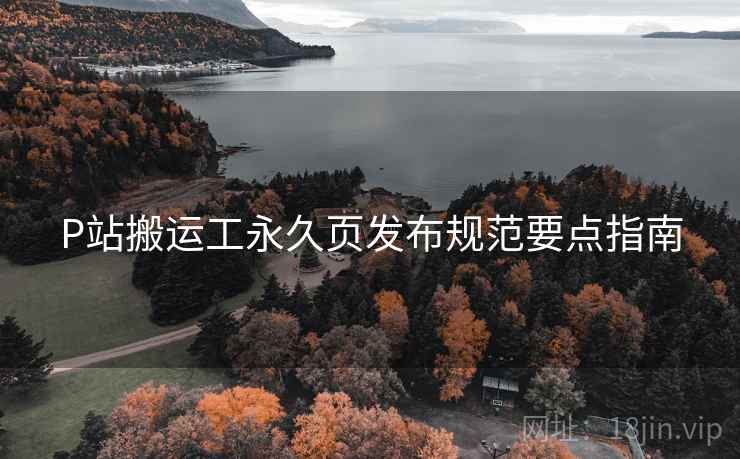 P站搬运工永久页发布规范要点指南