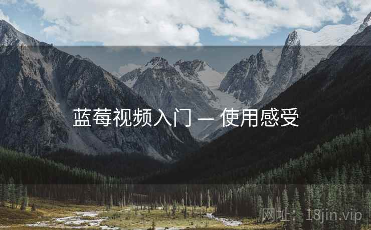 蓝莓视频入门 — 使用感受