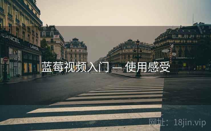 蓝莓视频入门 — 使用感受