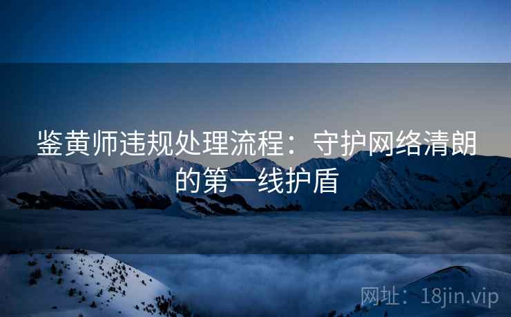 鉴黄师违规处理流程：守护网络清朗的第一线护盾