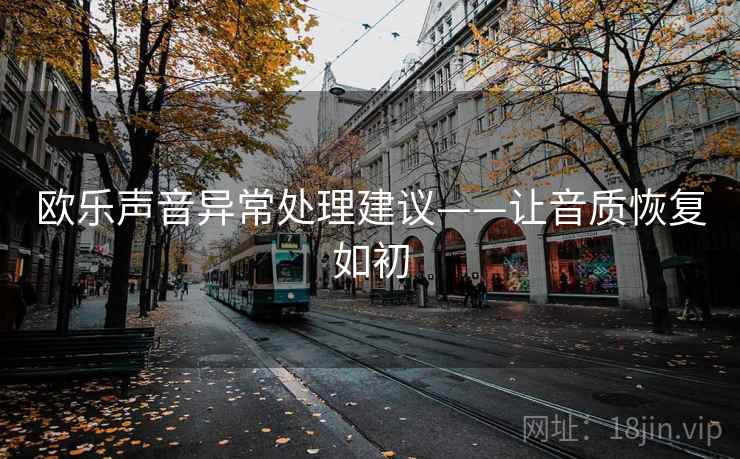 欧乐声音异常处理建议——让音质恢复如初
