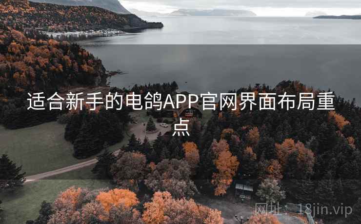 适合新手的电鸽APP官网界面布局重点