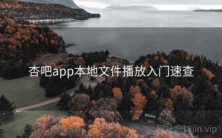 杏吧app本地文件播放入门速查