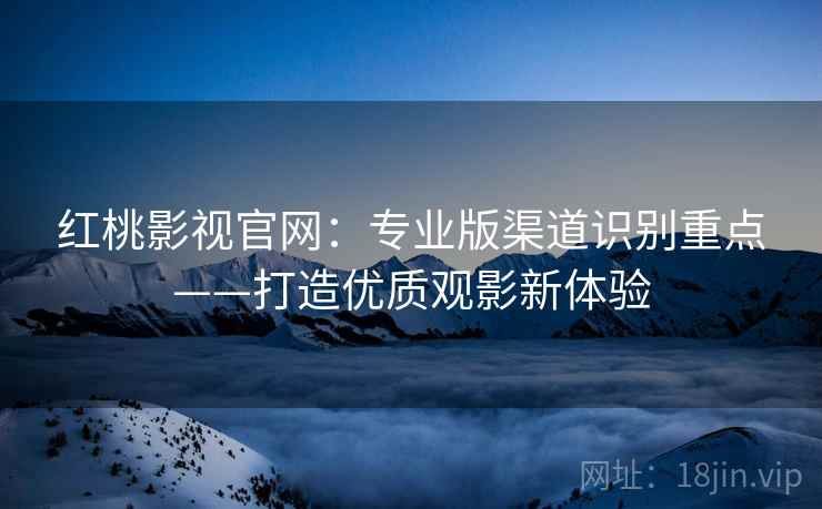红桃影视官网：专业版渠道识别重点——打造优质观影新体验